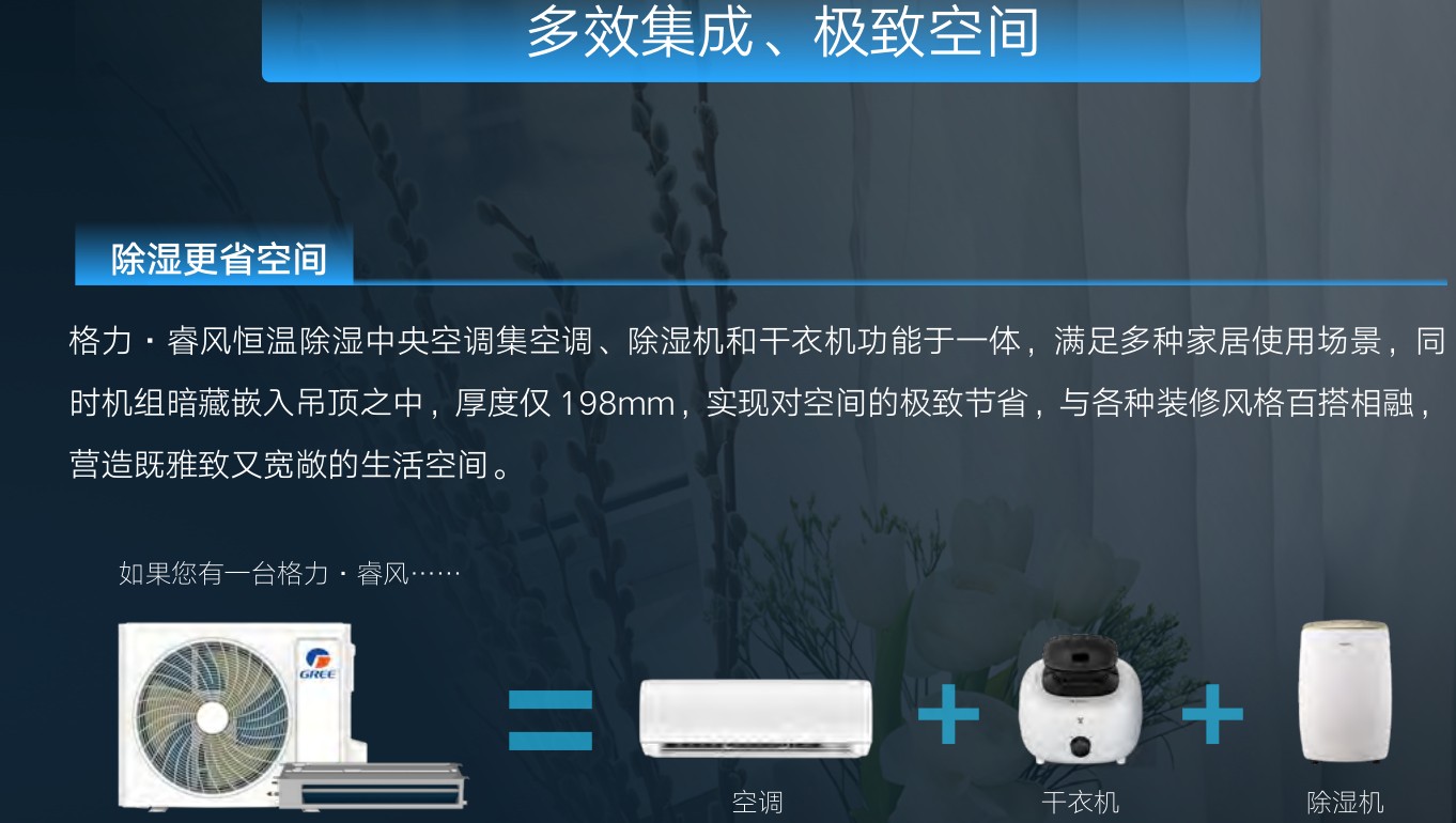 格力睿风